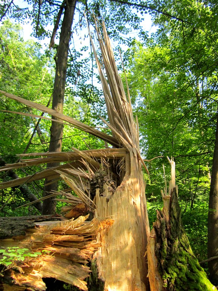 20130708Sturmschaden_Marlach6