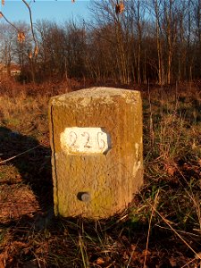 20110117Rhein_Altlussheim3