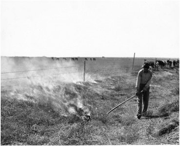 Haskell County, Kansas. Burning tumbleweeds in the roadside ditches is a regular Spring practice. - NARA - 522109 photo