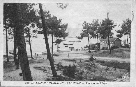 Bassin d'Arcachon-Claoney-Vue sur la plage-Elce 330