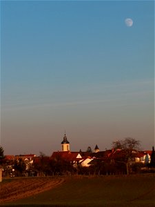 20110117Altlussheim_Mond1