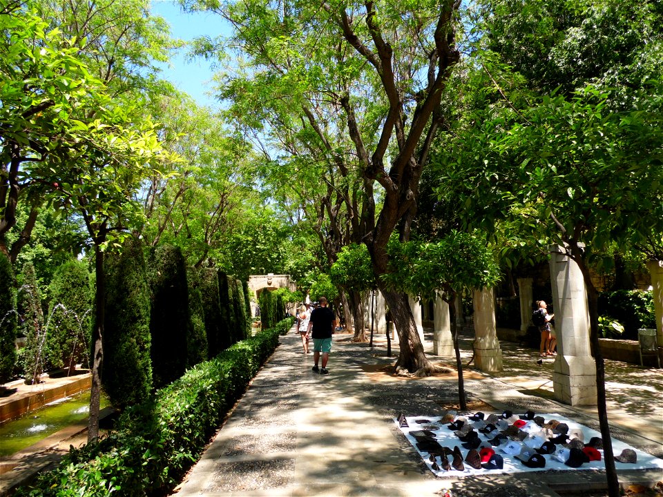 PALMA de MALLORCA, AB-077