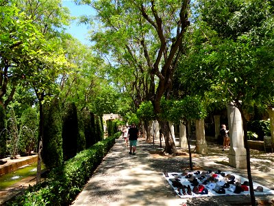 PALMA de MALLORCA, AB-077