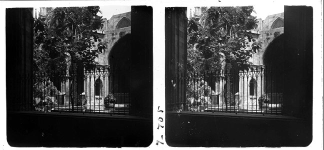 Mirant el brollador del claustre de la catedral de Barcelona