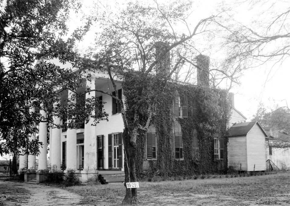 Magnolia Grove Greensboro 02