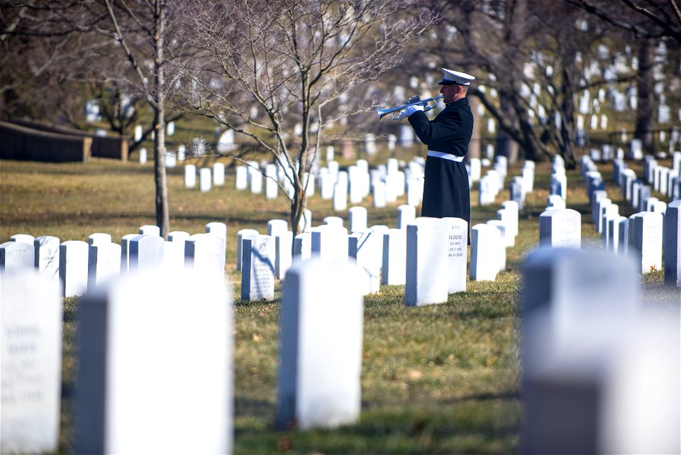 Marine Burial Feb 13, 2015 - bugler centered (16335944647)