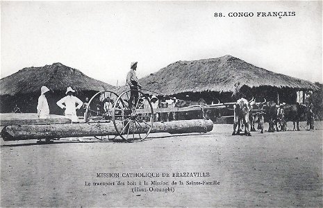 Mission catholique de Brazzaville-Le transport des bois à la Mission de la Sainte-Famille-Congo Français