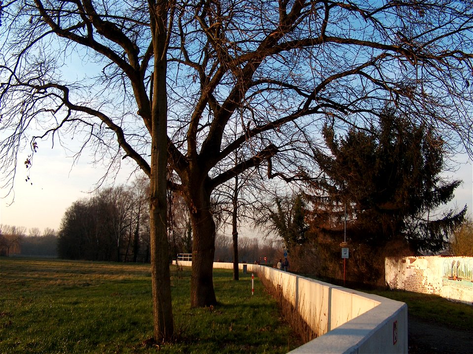 20110117Hochwasserschutz_Altlussheim