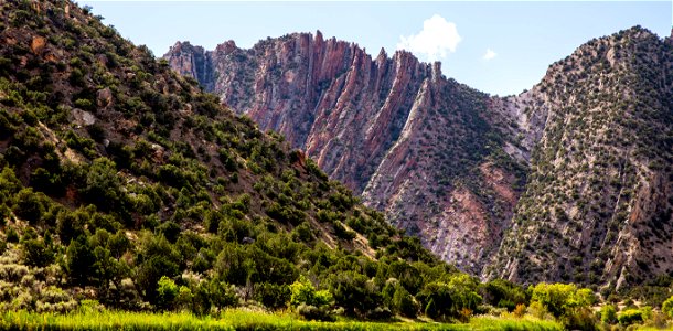 Dinosaur National Monument Monarch Survey (48765699812)