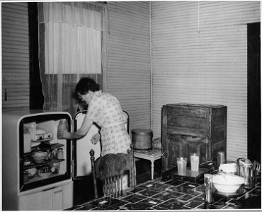 Harmony Community, Putnam County, Georgia. This housewife is enthusiastic about REA, and with good . . . - NARA - 521433 photo