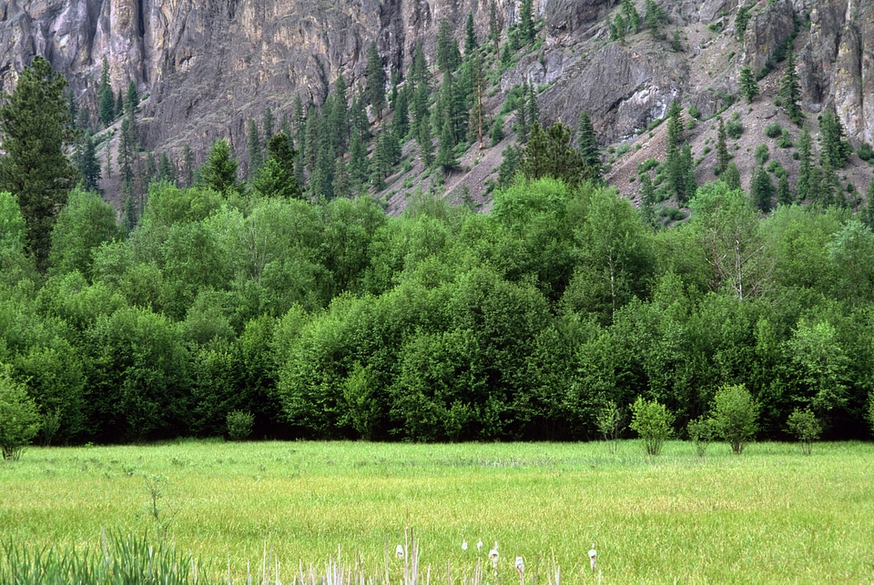 San Poil River scenic watershed in Colville National Forest, Washington