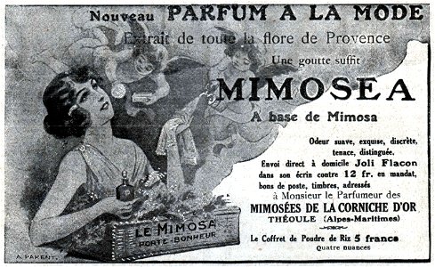 No 3905 Annonces 2, Mimosea parfum photo