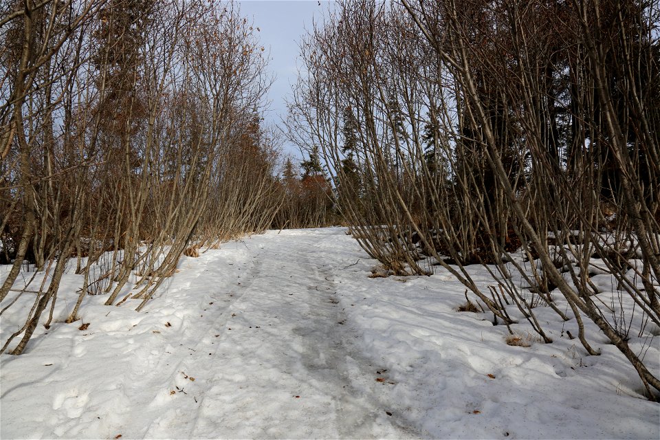 Diamond Recreation Area - Homer (34638486516)