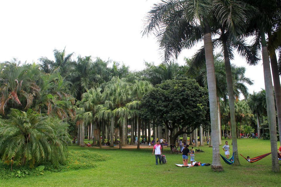 People enjoy the cool under the trees in East Lake Park1