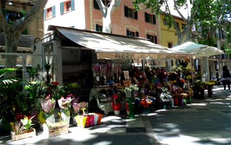 PALMA de MALLORCA, AB-036