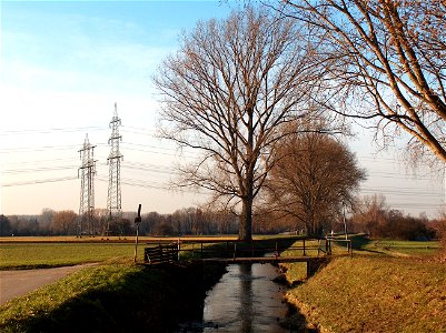 20110117Alte_Kriegbachbruecke_Neulussheim1