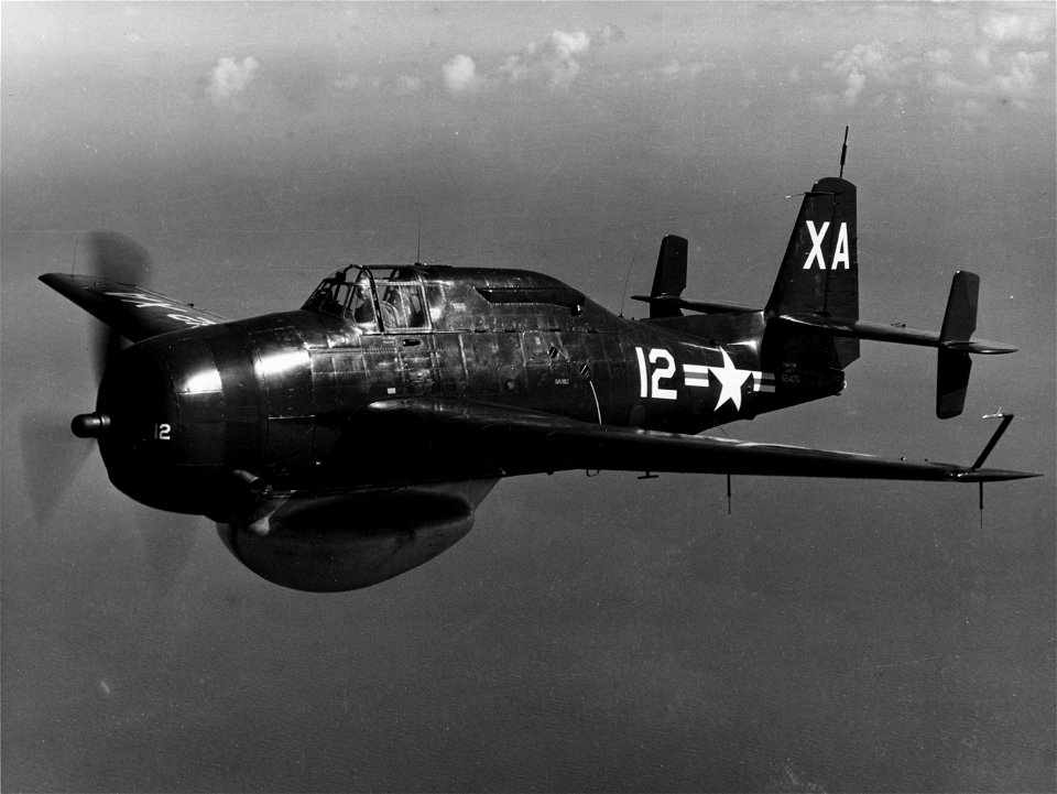 Grumman TBM-3W Avenger of VX-1 in flight c1948