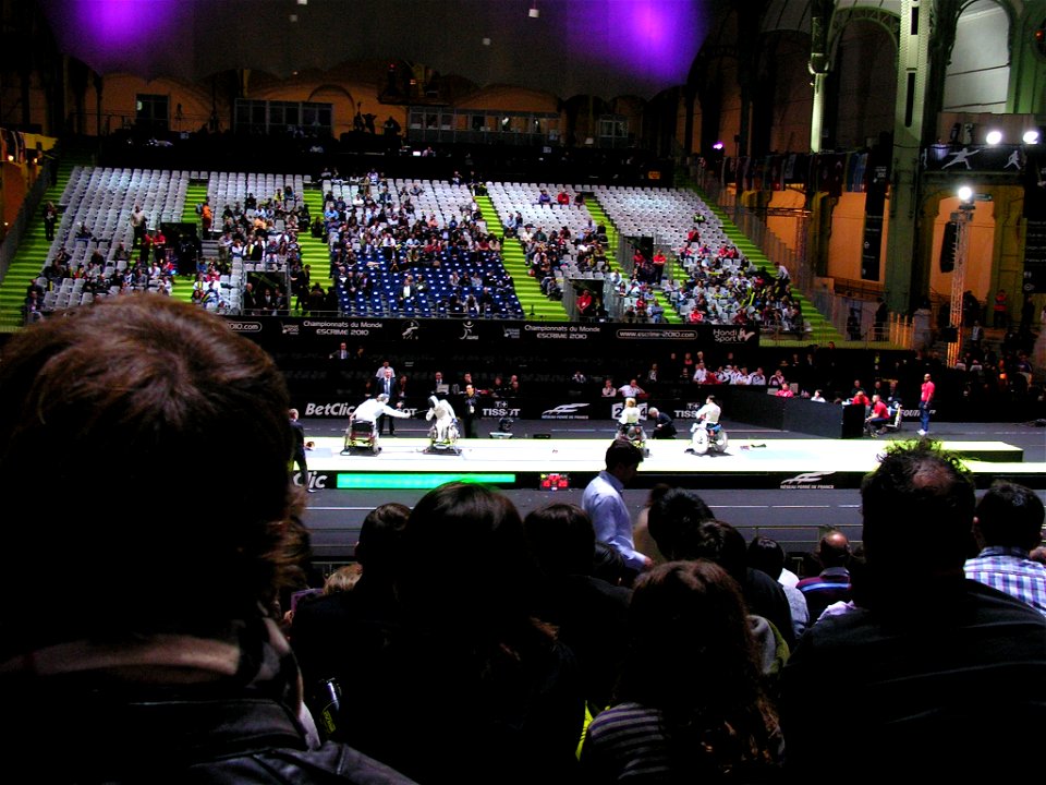 2010_World_Fencing_Championship_-_9_novembre_2010_-_09