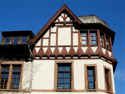 20110520Puccinistr15_St_Arnual2