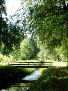 20110826Untere_Lusshart_Kirrlach3