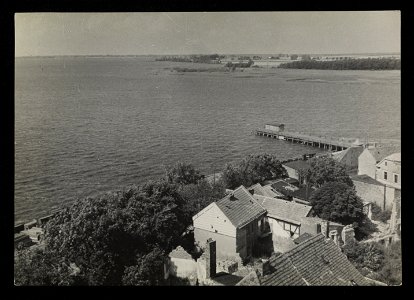 Kamien, molo 1949 (66044789)