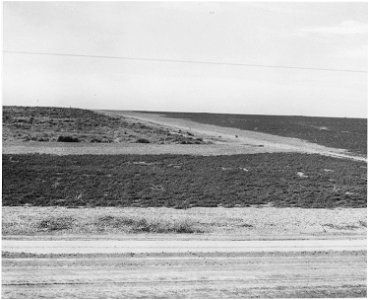 Haskell County, Kansas. Grasshopper damage generally starts by the roadsides and works in. Most such . . . - NARA - 522113 photo
