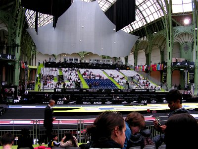 2010_World_Fencing_Championship_-_9_novembre_2010_-_01