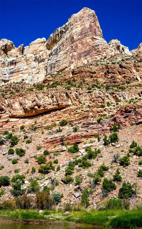 Dinosaur National Monument Monarch Survey (48765499796)