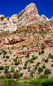 Dinosaur National Monument Monarch Survey (48765499796)