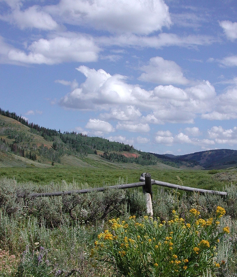 Sierra landscape with grass, sky, and clouds