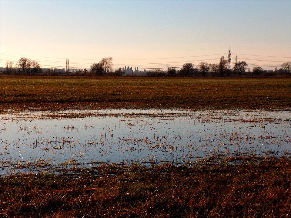 20110116Speyerblick_von_Hockenheim