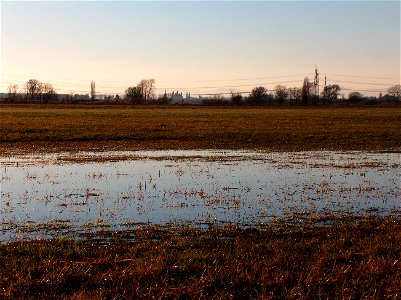 20110116Speyerblick_von_Hockenheim