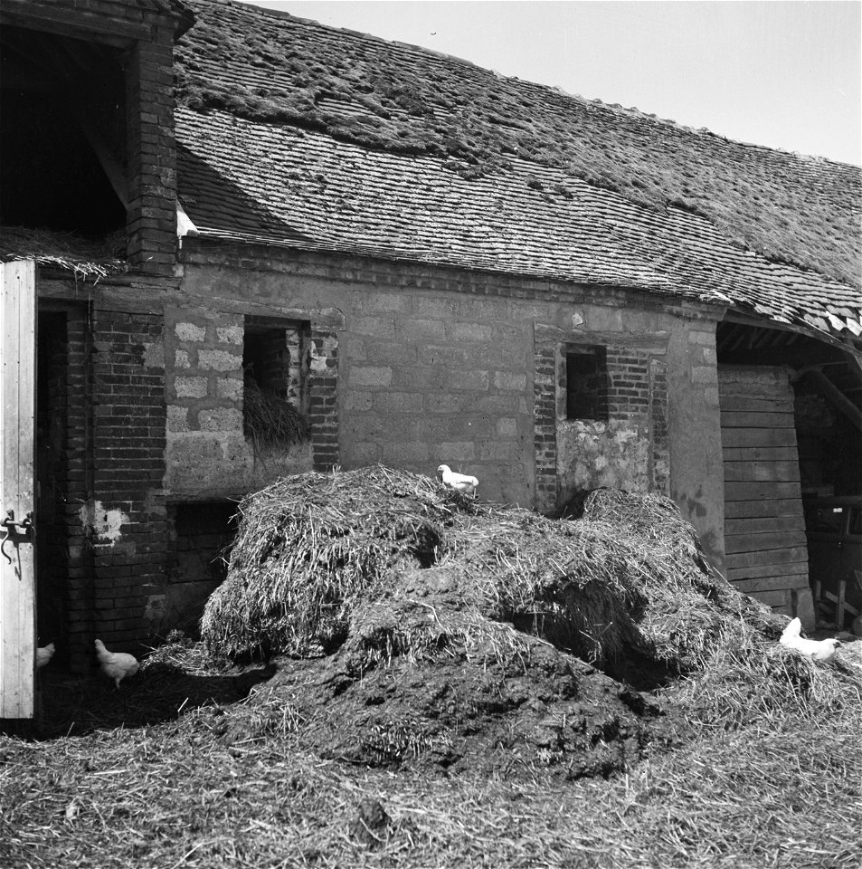 Mestvaalt voor een geruïneerde boerderij, Bestanddeelnr 900-6003