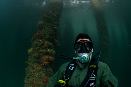 Maritime improvised explosive device (IED) familiarization dive, RIMPAC 2014 140723-N-TM257-150