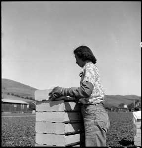 Mission San Jose, California. High School girl of Japanese ancestry assisiting her family in the st . . . - NARA - 537859 photo