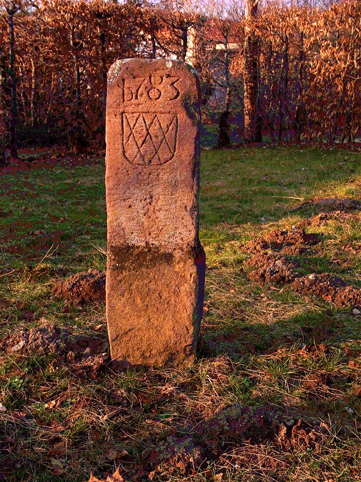 20110130Grenzsteine_Hockenheim02