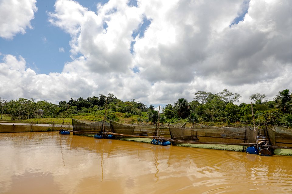 PRODUCE Proyecto de modernización del DPA “La Punchana” en Iquitos se iniciará el próximo año (44177824092)