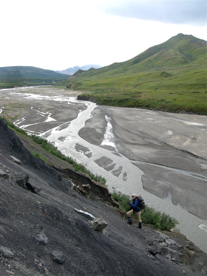 Denali National Park (29398125524)
