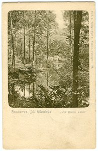 Karl F. Wunder PC 0763 Hannover. Die Eilenriede Der grosse Teich