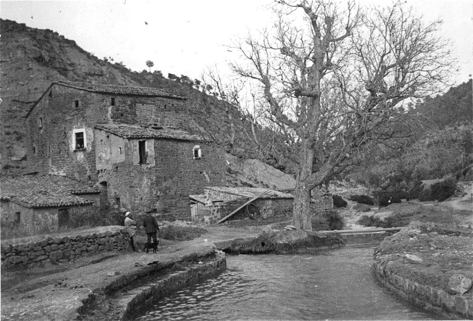 Molí de Rodamilans al Pont de la Farga vora el riu