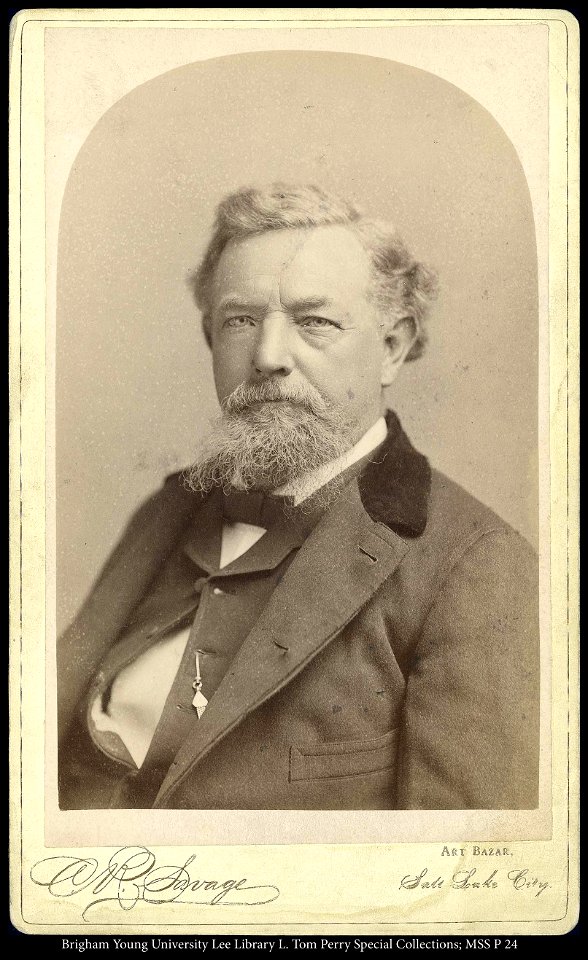 Man with moustache bust portrait