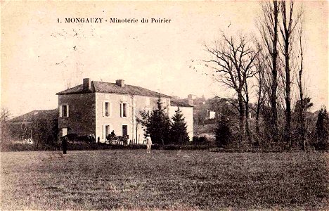 Mongauzy - Minoterie du poirier
