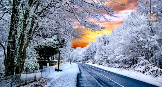 Premiere neige (25548634357)