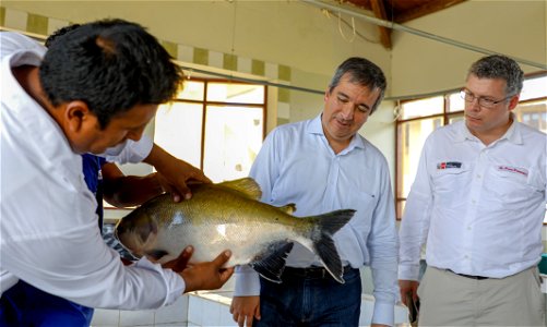 PRODUCE Proyecto de modernización del DPA “La Punchana” en Iquitos se iniciará el próximo año (42418587310)