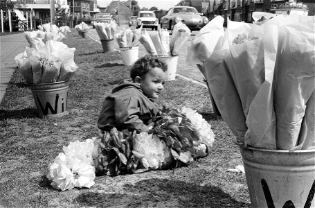 Tweejarige Michel verkoopt in bloemenstand van vader, Bestanddeelnr 913-9070 photo