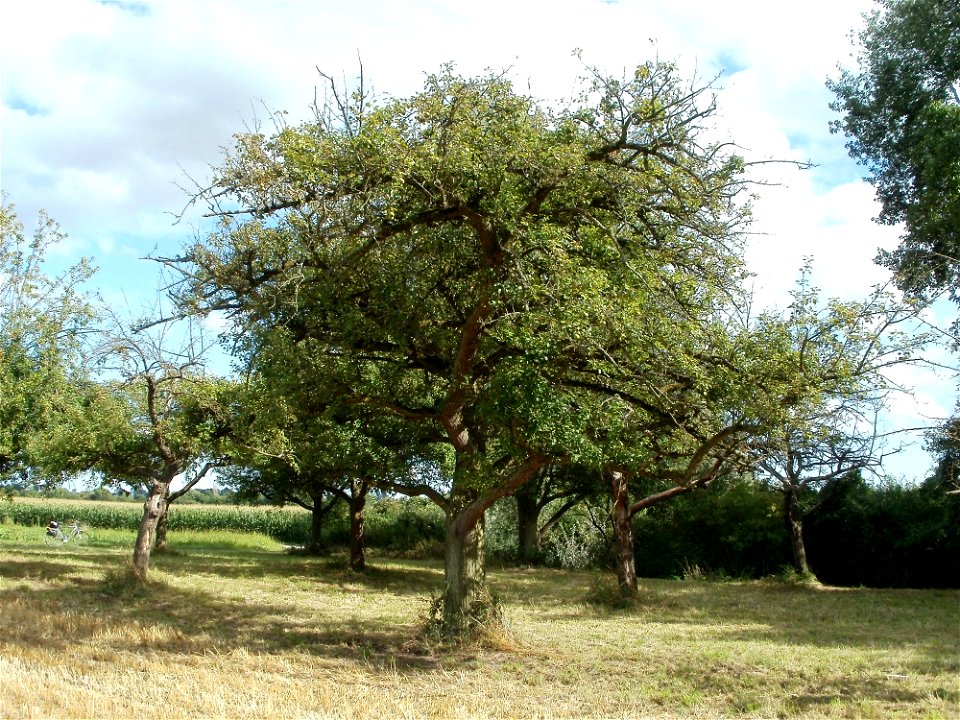 20110718Hockenheim23