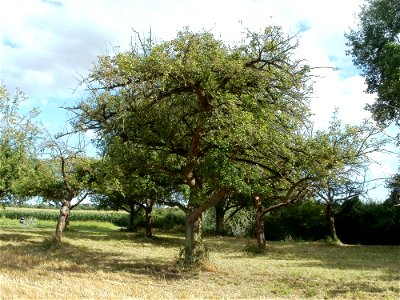 20110718Hockenheim23