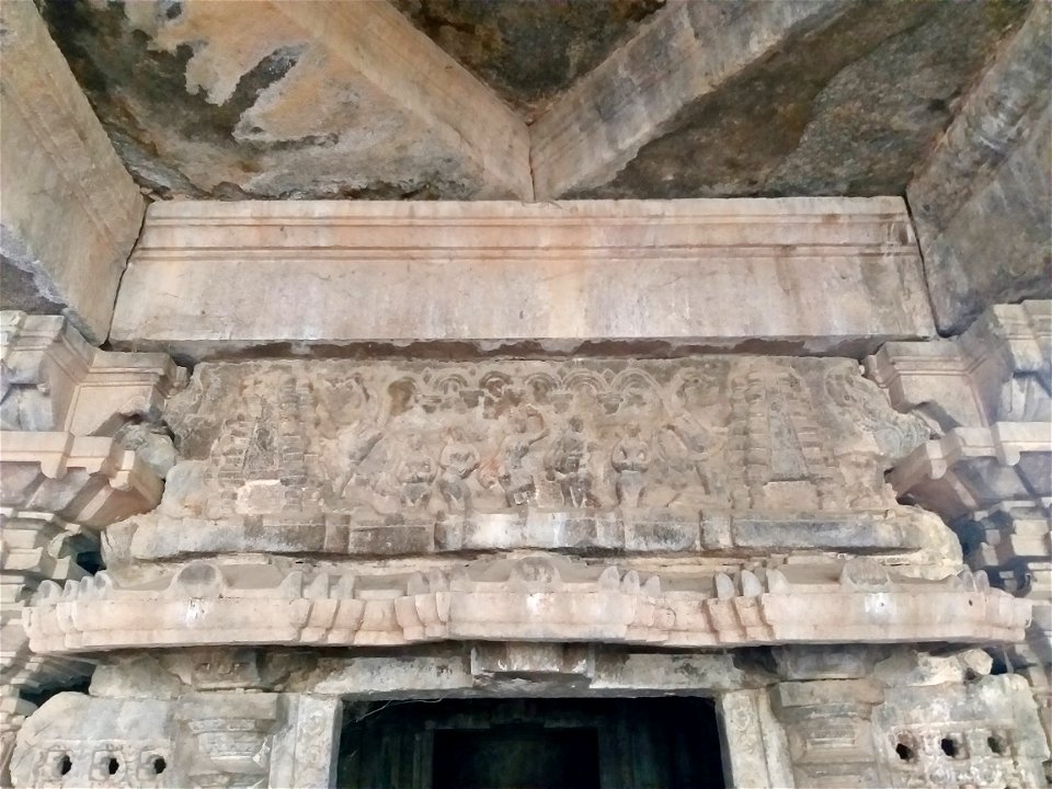 Chikati Gudi, Kothapali Haveli, Telangana - 31