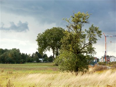 20110827Talhaus_Hockenheim1