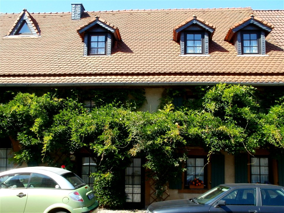 20110818Bruehlstr15_St_Arnual2